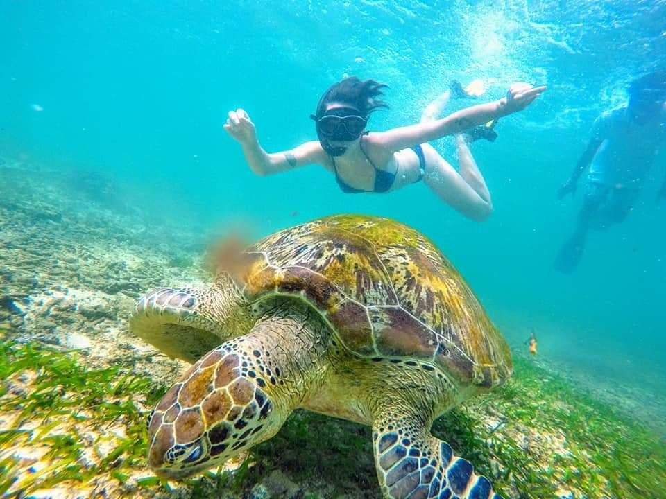 Mirissa ocean view for Sea Star Mirissa tours